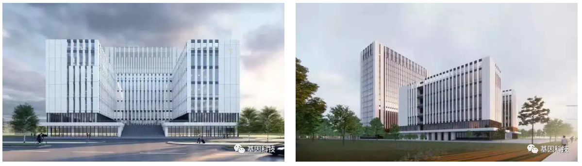 伟德BETVlCTOR194611.png